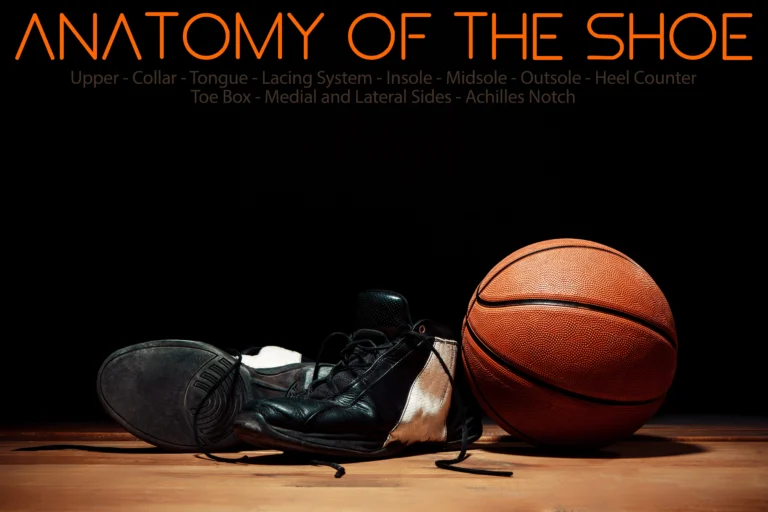 anatomy of basketball shoe